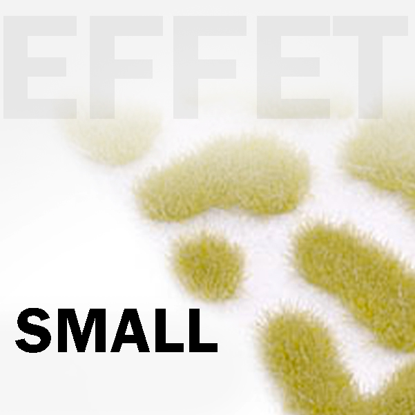 Categorie-Small2